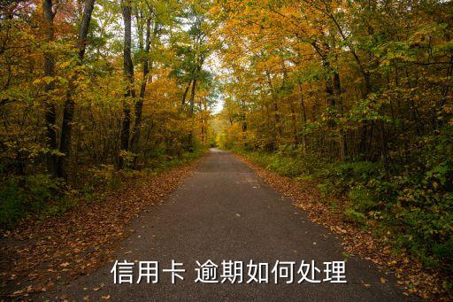 信用卡年费不小心逾期了怎么办
