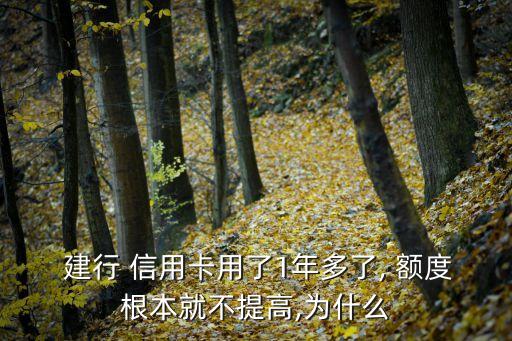  建行 信用卡用了1年多了, 额度根本就不提高,为什么