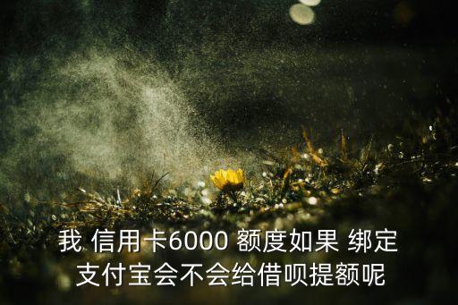 我 信用卡6000 额度如果 绑定 支付宝会不会给借呗提额呢