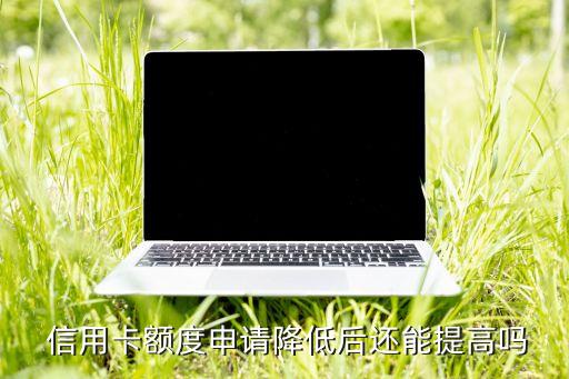  信用卡额度申请降低后还能提高吗