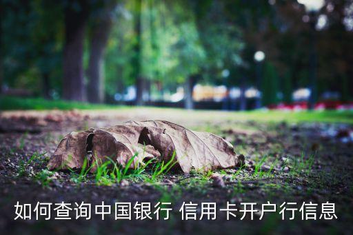信用卡申请公司名称查找,办信用卡公司名称写错了会被拒吗?