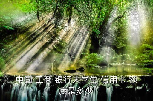 中国 工商 银行大学生 信用卡 额度是多少