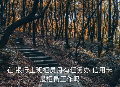 在 银行上班柜员月有任务办 信用卡是柜员工作吗