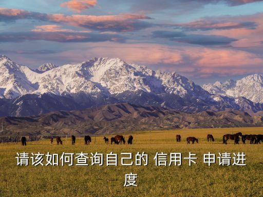 请该如何查询自己的 信用卡 申请进度