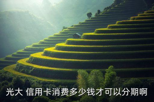 光大 信用卡消费多少钱才可以分期啊