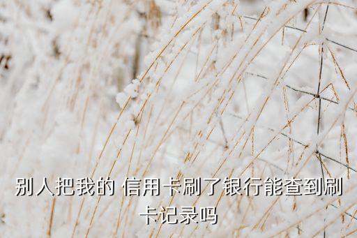 别人把我的 信用卡刷了银行能查到刷卡记录吗