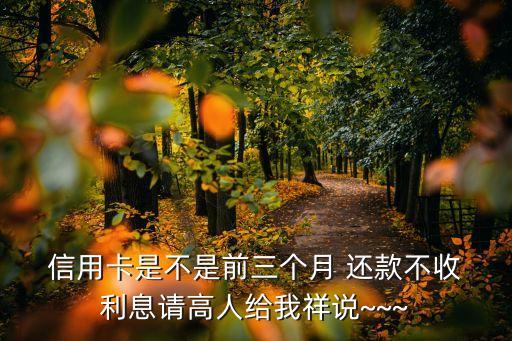  信用卡是不是前三个月 还款不收 利息请高人给我祥说~~~