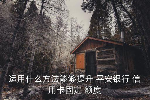 运用什么方法能够提升 平安银行 信用卡固定 额度