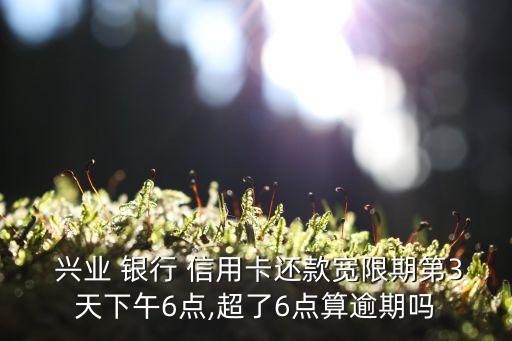  兴业 银行 信用卡还款宽限期第3天下午6点,超了6点算逾期吗