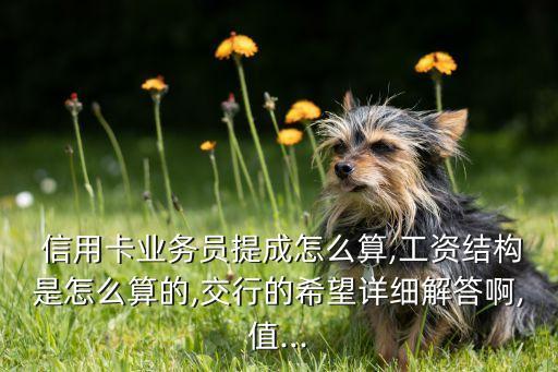  信用卡业务员提成怎么算,工资结构是怎么算的,交行的希望详细解答啊,值...