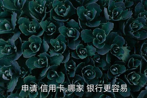 信用卡哪个银行最好申请的,哪个信用卡网上好申请 秒过