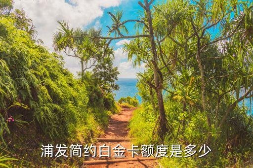 浦发简约白金卡额度是多少