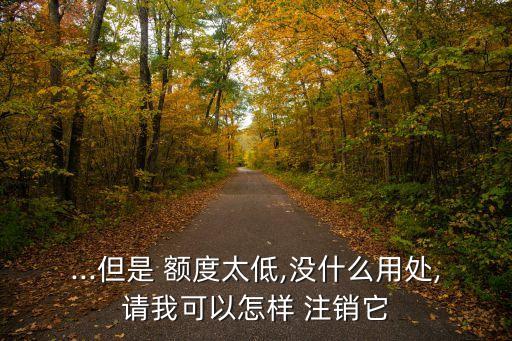 ...但是 额度太低,没什么用处,请我可以怎样 注销它