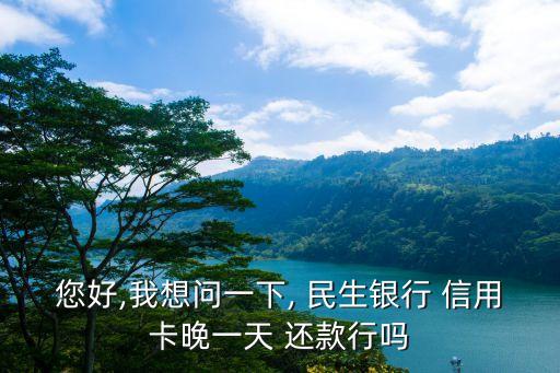 民生信用卡还款日超了一天