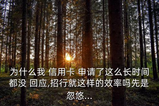 为什么我 信用卡 申请了这么长时间都没 回应,招行就这样的效率吗先是忽悠...