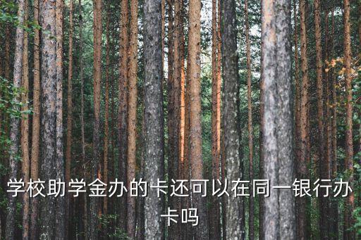 学校助学金办的卡还可以在同一银行办卡吗