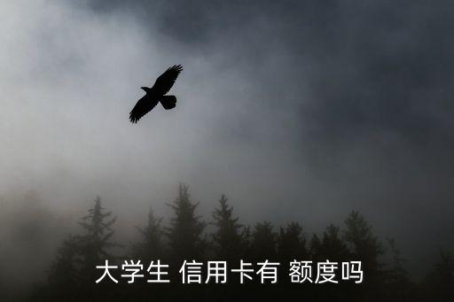 大学生申请的信用卡额度