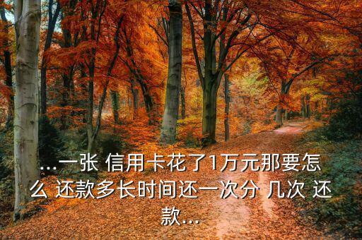 ...一张 信用卡花了1万元那要怎么 还款多长时间还一次分 几次 还款...