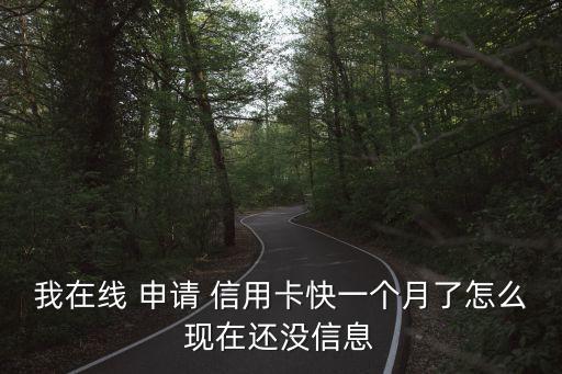 我在线 申请 信用卡快一个月了怎么现在还没信息