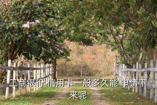 工行信用卡申请得多长的时间
