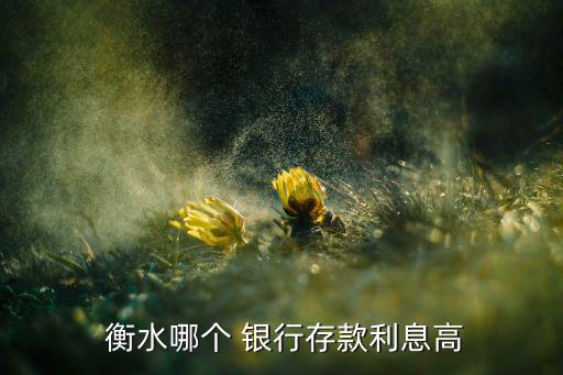  衡水哪个 银行存款利息高