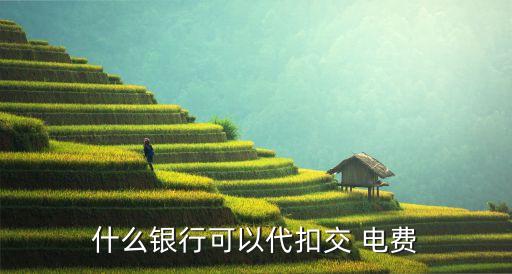 什么银行可以代扣交 电费