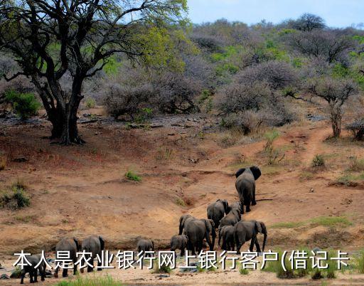 本人是农业银行网上银行客户(借记卡