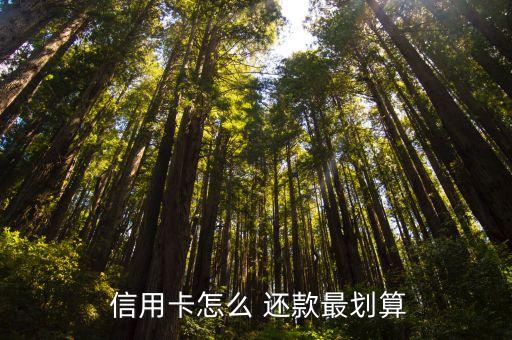  信用卡怎么 还款最划算