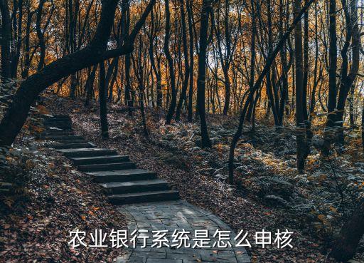农业银行系统是怎么申核
