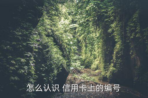怎么认识 信用卡上的编号