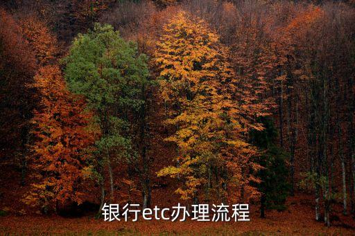银行etc办理流程