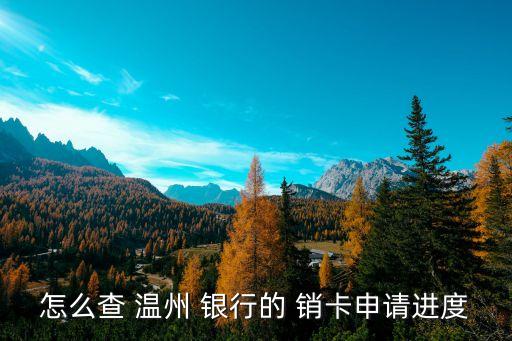 怎么查 温州 银行的 销卡申请进度