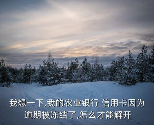 农行信用卡显示逾期怎么办
