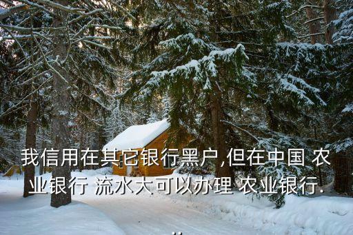 我信用在其它银行黑户,但在中国 农业银行 流水大可以办理 农业银行...