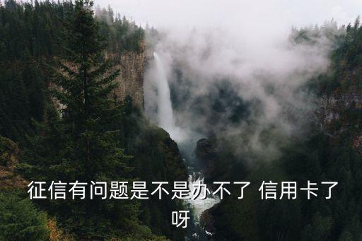 征信有问题是不是办不了 信用卡了呀