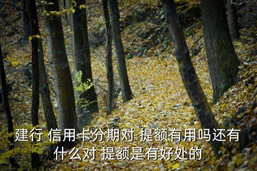 信用卡能不能提额办分期