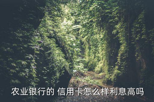  农业银行的 信用卡怎么样利息高吗