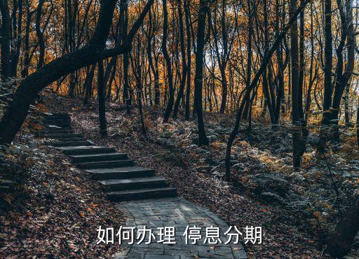如何办理 停息分期