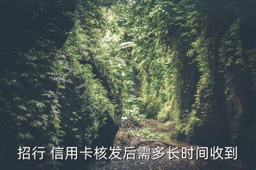 信用卡申请多久到账