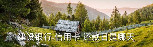 建设银行 信用卡 还款日是哪天
