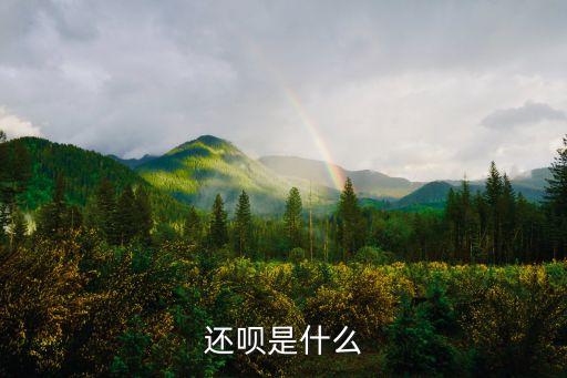 还呗是什么