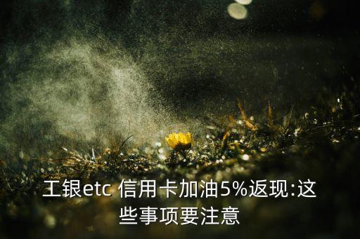 工银etc 信用卡加油5%返现:这些事项要注意
