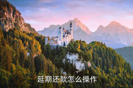  延期还款怎么操作