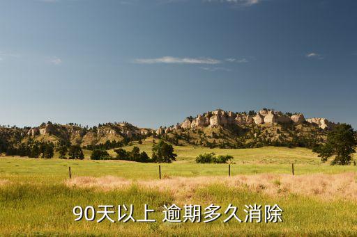 90天以上 逾期多久消除
