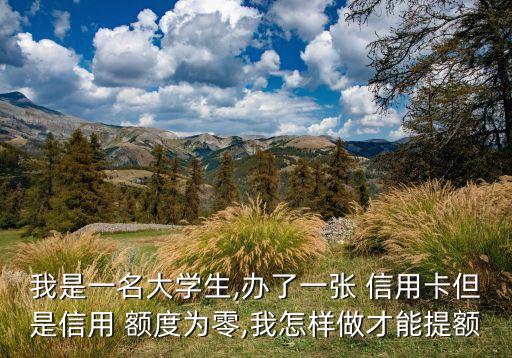 信用卡刚开始额度不高,刚成年信用卡额度一般是多少