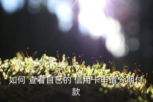 信用卡分期活动在哪里查看