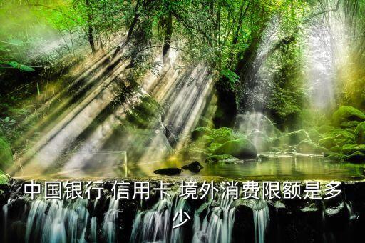 中国银行 信用卡 境外消费限额是多少