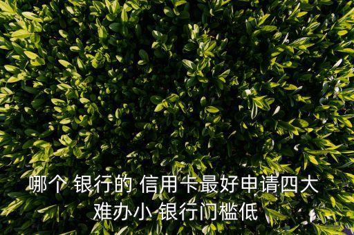 哪个 银行的 信用卡最好申请四大 难办小 银行门槛低