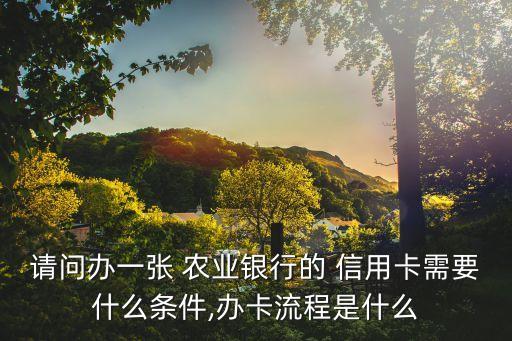 请问办一张 农业银行的 信用卡需要什么条件,办卡流程是什么