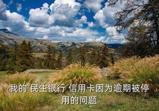 我的 民生银行 信用卡因为逾期被停用的问题